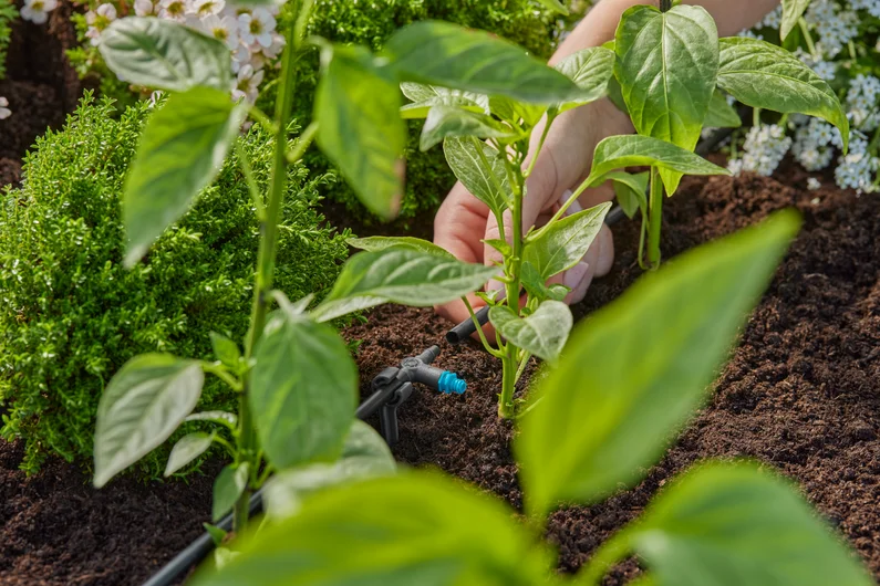 Gardena Micro-Drip-System rækkedrypvander, 2l/t