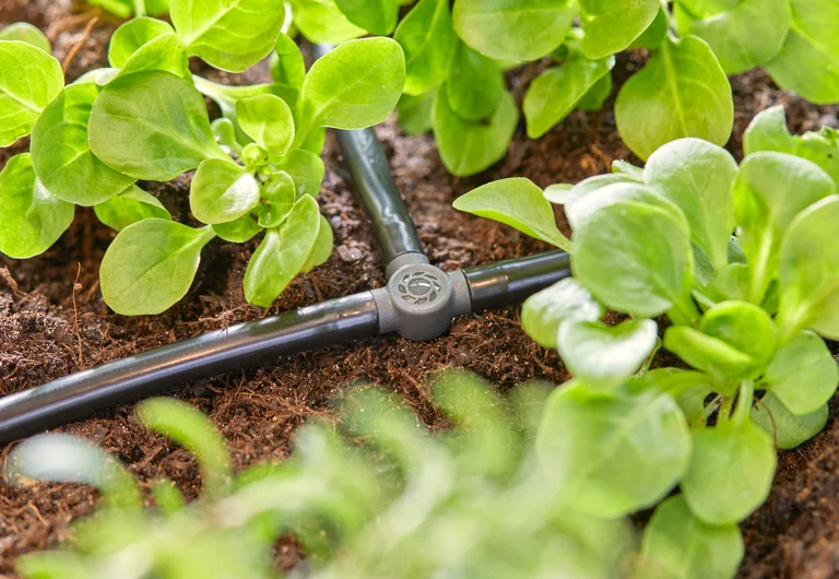 Gardena Micro-Drip-System T-stykke 4,6mm (3/16")