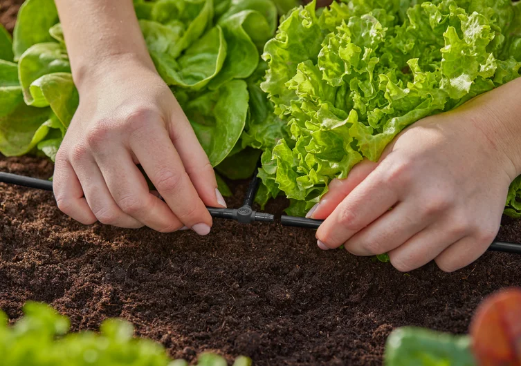 Gardena Micro-Drip-System T-stykke 4,6mm (3/16")