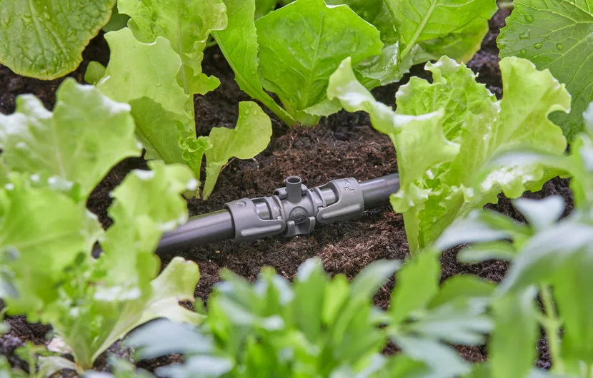 Gardena Micro-Drip-System T-stykke t. endedrypper 13mm (1/2")