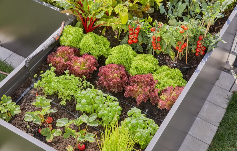 Gardena Micro-Drip-System højbedssæt (35 planter)