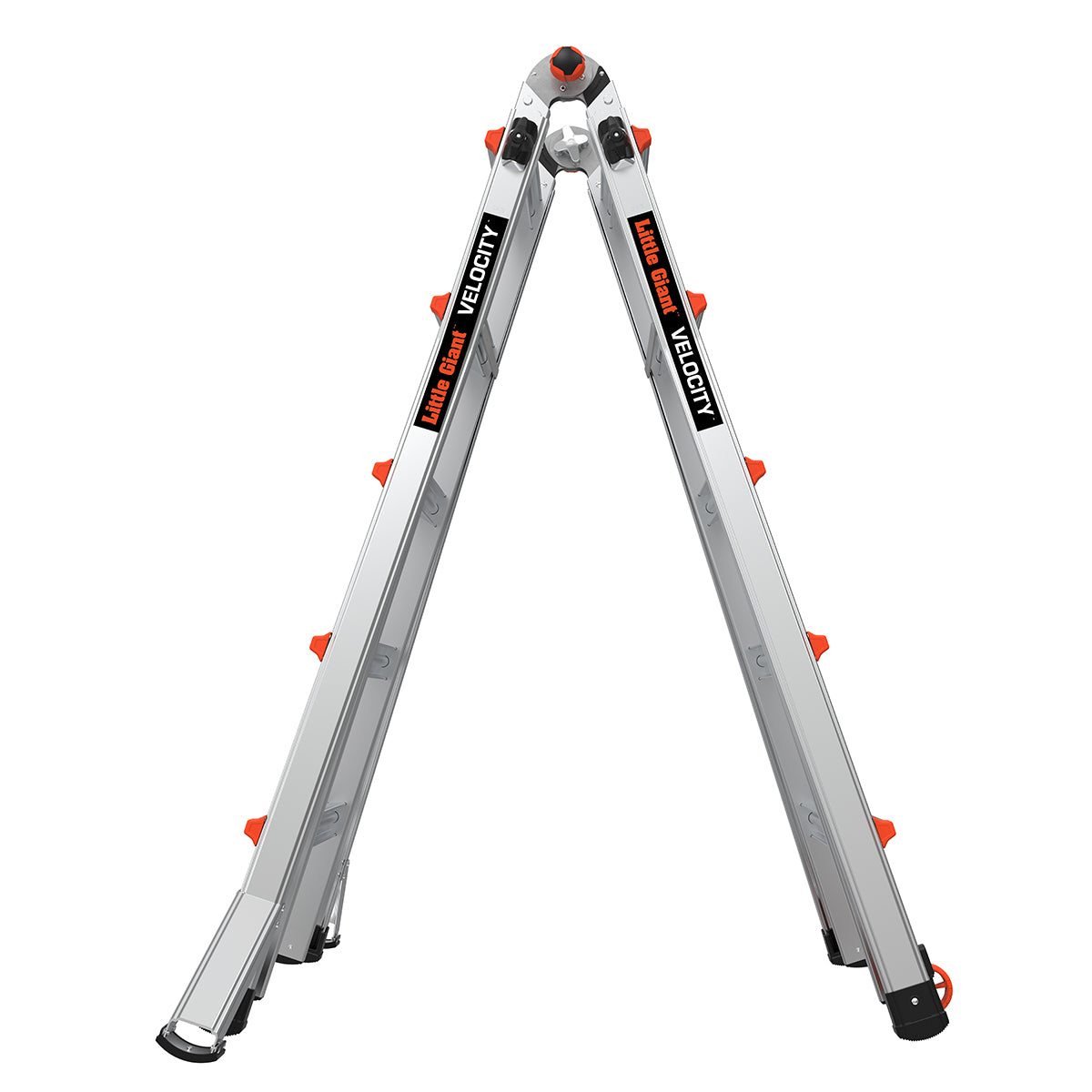 JUMBO Giant Classic multistige "Velocity" 5/9 trin