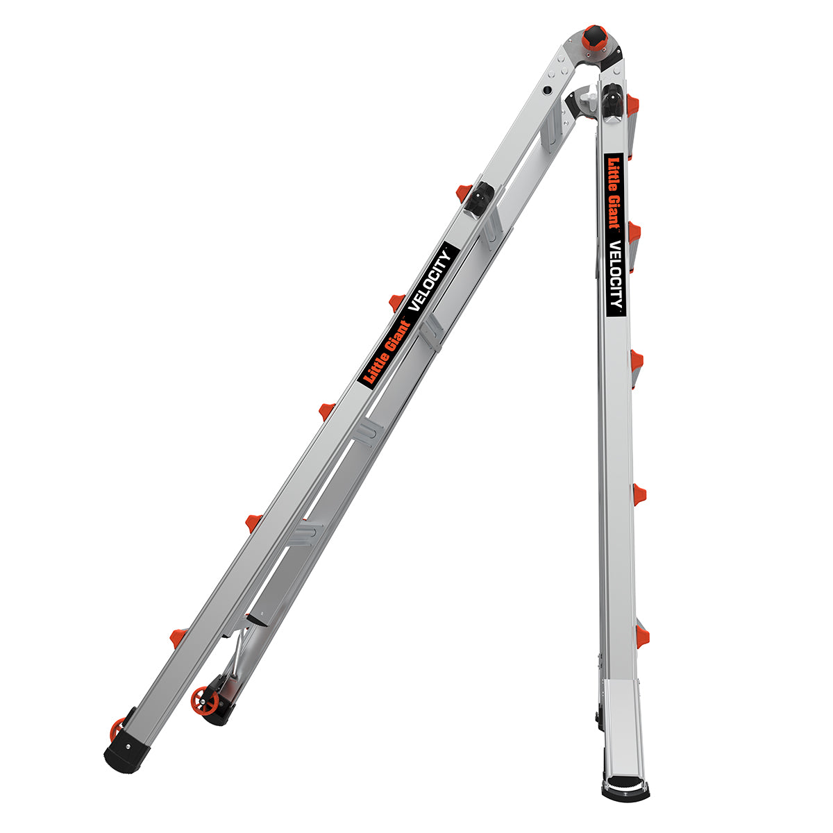 JUMBO Giant Classic multistige "Velocity" 5/9 trin