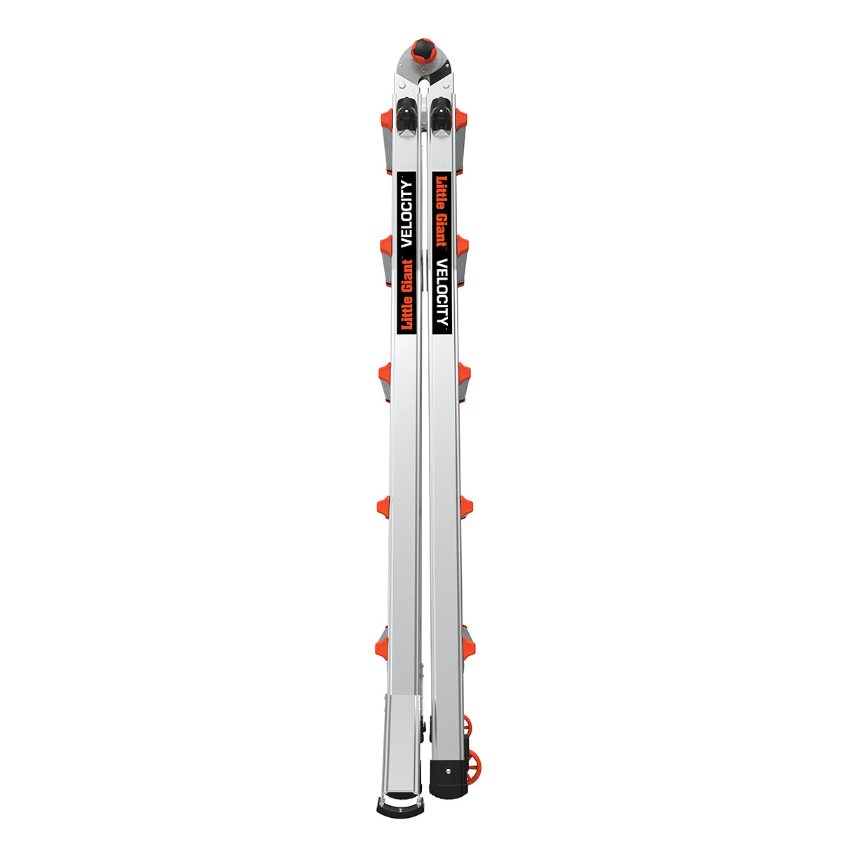 JUMBO Giant Classic multistige "Velocity" 5/9 trin