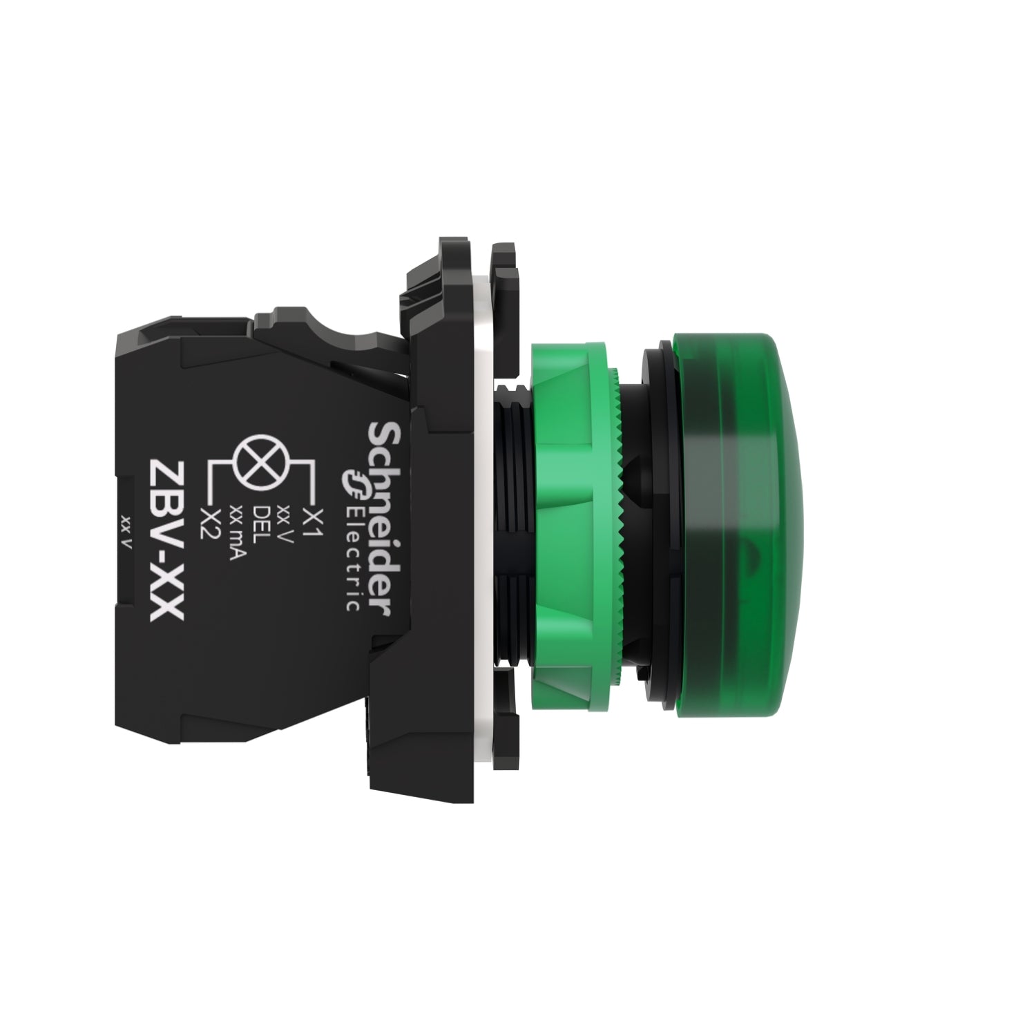 LAMPE GRØN 24V AC/DC    XB5AVB3