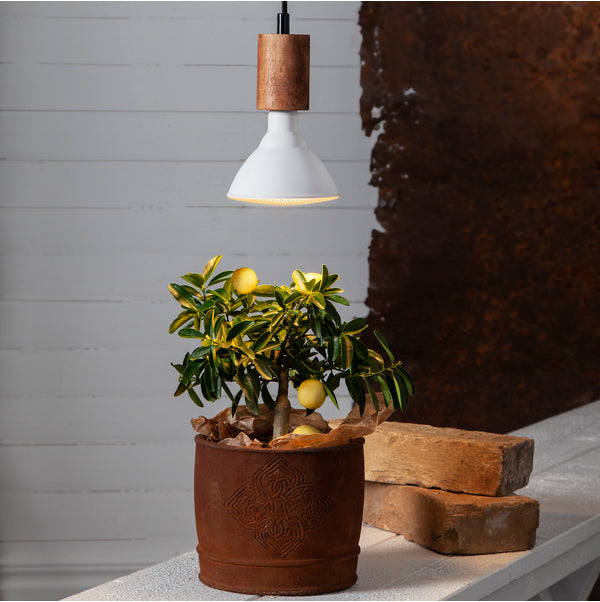 LED Plantelys (planten holdes pæn) 16W 1700 lumen, E27, 24°
